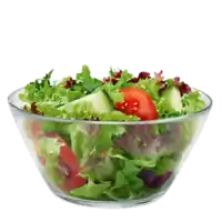 McDonald's Snack Salad