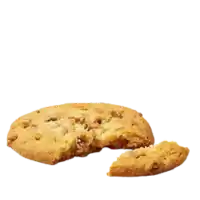 Pecan Nut Cookie