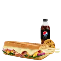 subway chickn garlic submelt