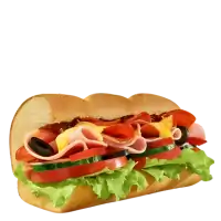 subway montag italian bmt