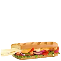 subway spicy salami chicken melts