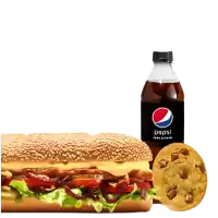subway the bbq master sub