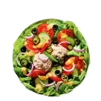 tuna salat