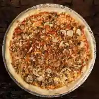 funghi freschi