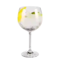 gin tonic