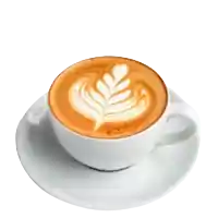 lostria cappuccino
