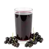 johannisbeernektar